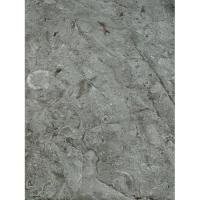 Н2213 Пленка 0,45*8 Мрамор Юрский Темн.-Сер. Axelfix