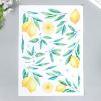 Наклейка "Лимоны" 25х35 пластик 