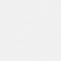 Фоновые 921 00 Обои Саратов 0,53*10м С6