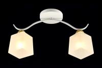 МС-XA1448B/2 WH+Wd Светильник потолочный