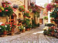 Фотообои Цветочная улочка (294*260) (12л) VIP Тула