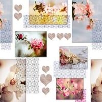 Клеенка №CB90 1,4*20 нетканная основа Pontelambro