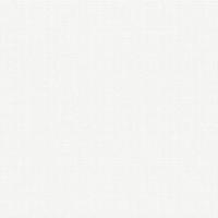 60898-02 Обои Эрисманн винил гор.тисн. на флиз. 1,06*10м