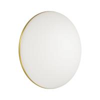 3043/DL Светильник пласт.LED 48Вт 3000-6000К D385 IP43 пульт Lassa