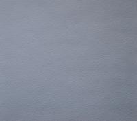 Обои дуплекс Снежный -03  0,53*10м г.Саратов