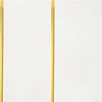 Вагонка ПВХ 2-х секц. Золото 0,2м*3м Пензапласт