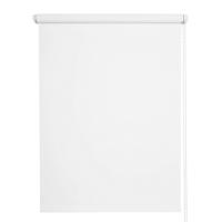 Штора рулонная Блэкаут Болид 61,5*175 Белый