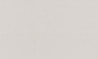 72377-21ТС Обои винил на флиз. Trend Color 1,06*10м